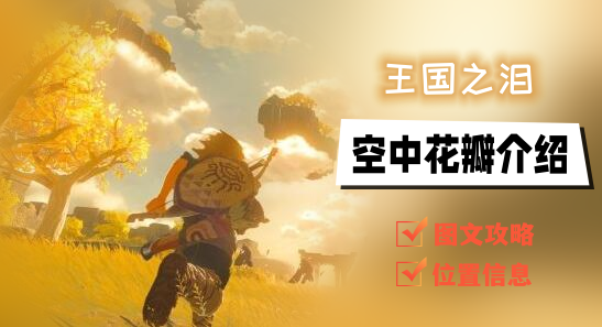 王国之泪空中花瓣怎么获得-在哪里获得