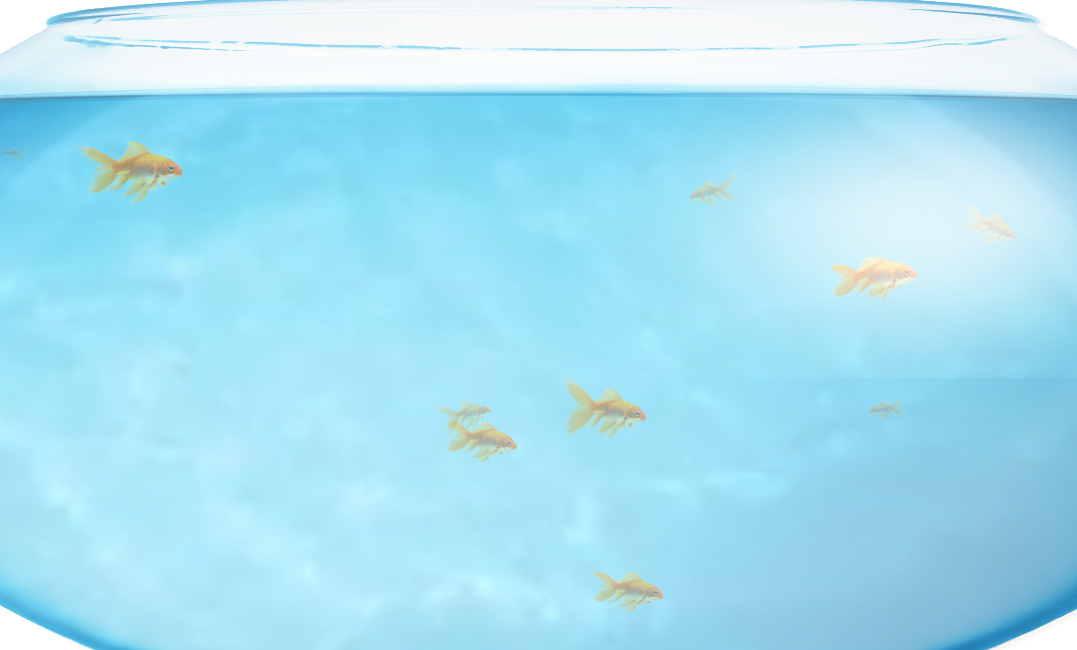 fishbowl鱼缸测试网站入口最新现在可进-fishbowl性能测试网址2023