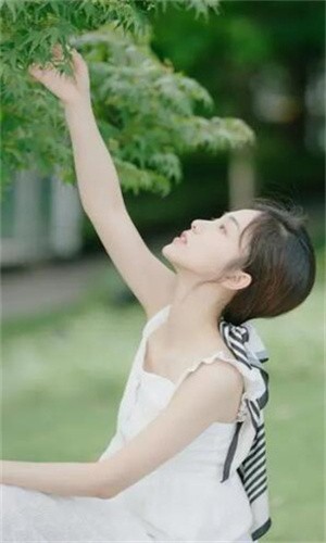 红杏直播免登陆版app最新版下载