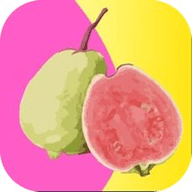 草莓视频无限版app在线下载