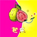 香蕉茄子视频