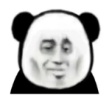 三秦青年免费下载